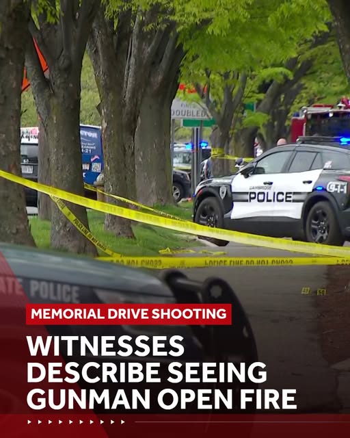 Cambridge Shooting News: Two Suffer Life-Threatening Injuries in Memorial Drive Shooting; Suspect Taken Into Custody