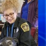 Cathy Cunningham Washington, PA Obituary, Cause of Death: In Loving Memory of Dedicated Humane Officer who Dies Suddenly