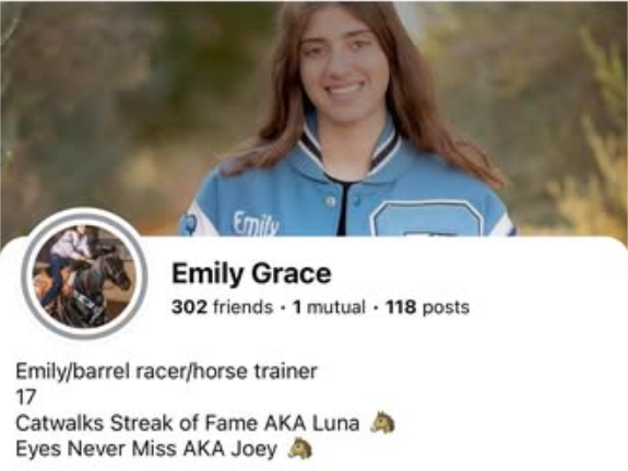 Emily Grace Las Vegas Horse Stabbing: Further details released after Las Vegas Horse stabbing incident at South Point Arena
