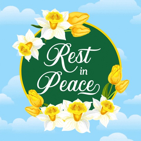 Martin Krol Chicago IL Obituary, Death – In Loving memory