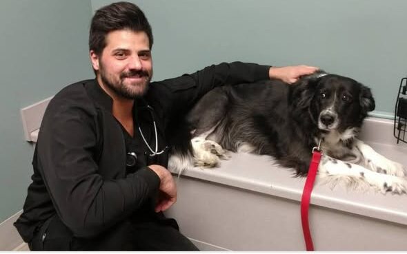 Dr. Nick Vitale Obituary, Cause of Death: In Loving Memory of Dr. Nick Vitale Following His Courageous Battle With Cancer
