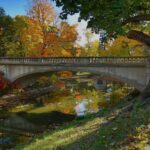 Apple River Somerset, Wisconsin Stabbing Incident Today:Apple River Stabbing Incident: Additional Details Released Following Fatal Stabbing in Somerset, Wisconsin