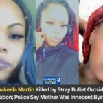 Shakeela Martin Obituary: 35-Year-Old Mother Fatally Struck by Stray Bullet Outside Ferguson BP Gas Station