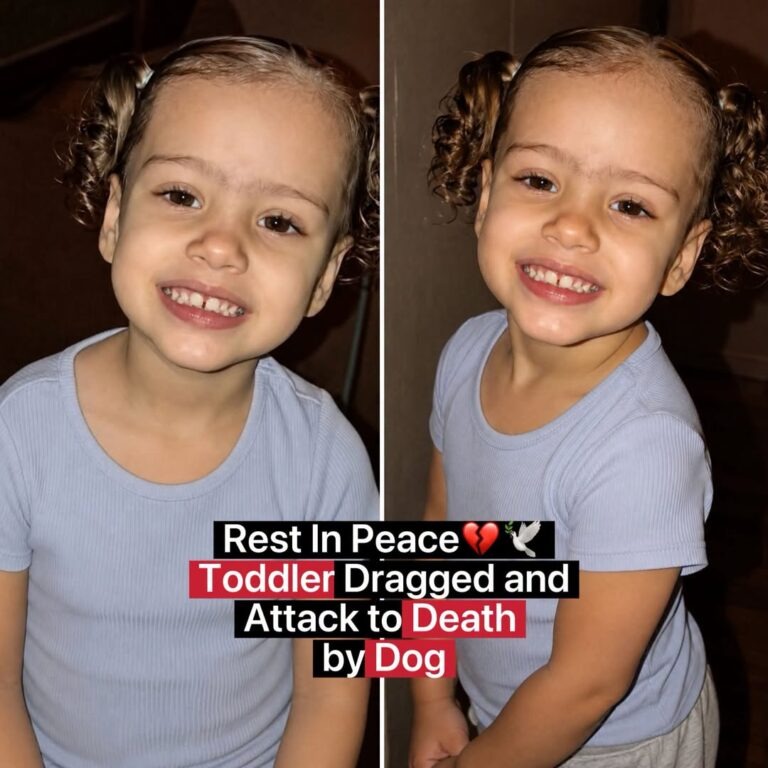 Celeste Jackson Obituary: 2-Year-Old Girl Dies in Tragic Dog Attack as Three Family Members Face Child Endangerment Charges