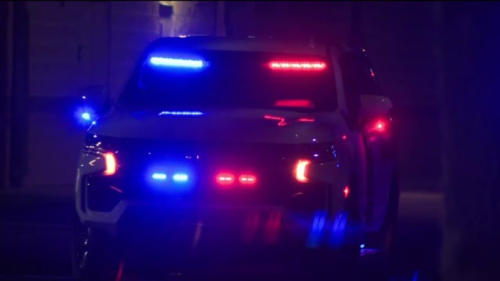 Spring Hill Murder-Suicide: Pinellas Deputy and Ex-Girlfriend Found Dead After Dispute Over Television