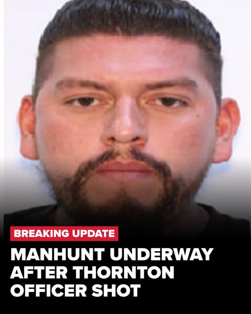 🚨 BREAKING NEWS: Manhunt Underway After Thornton Police Officer Shot and Seriously Injured