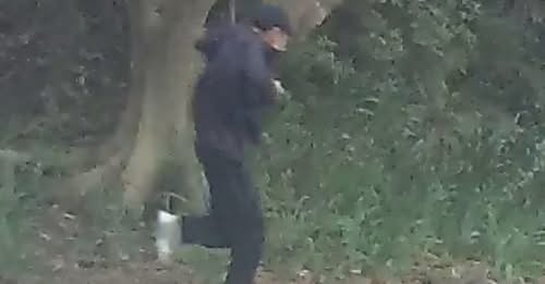 BREAKING NEWS: 32-Year-Old Man Arrested After Dulwich Hill Manhunt and Hours-Long Lockdown in Sydney